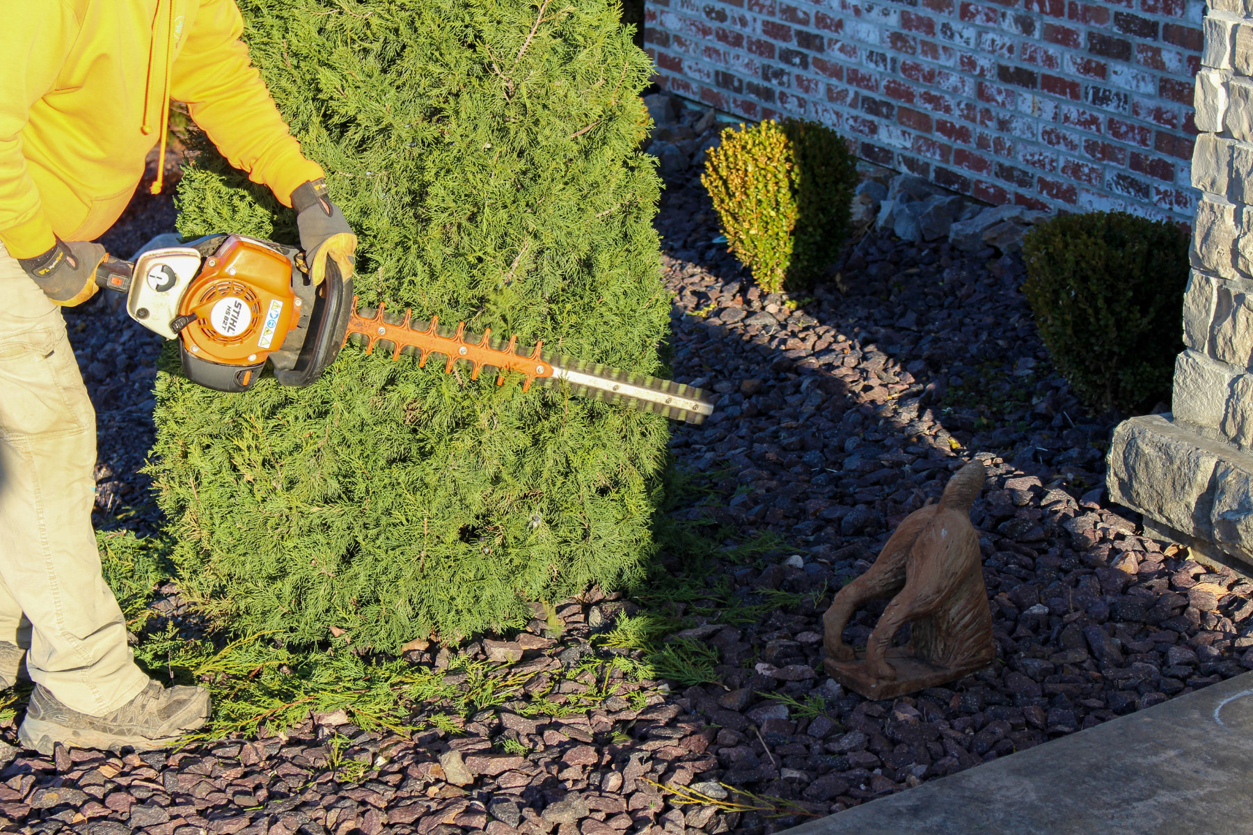 bush-trimming