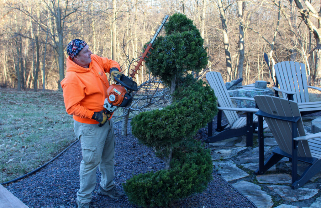 tree-trimming